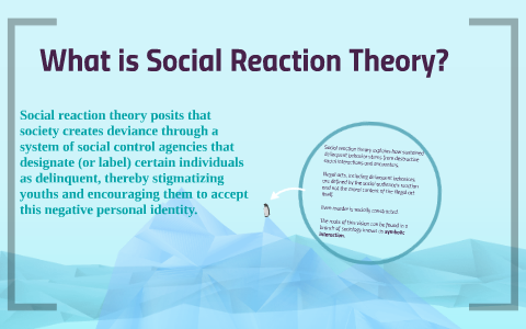 Social Reaction Theory by Georgina Villegas