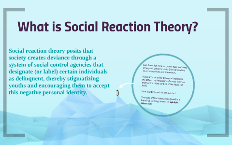 Social Reaction Theory