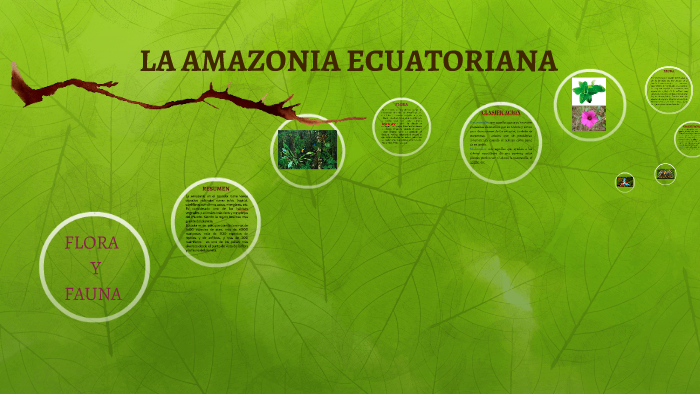 LA AMAZONIA ECUATORIANA by karla velez on Prezi
