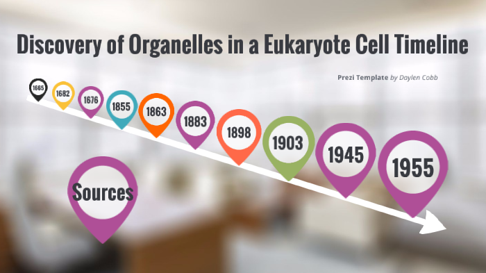 Eukaryotic Cell Organelle Discovery Timeline by Daylen Cobb on Prezi