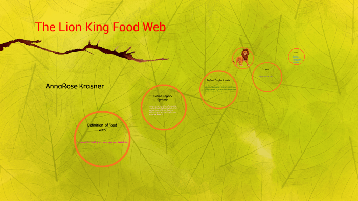 Examples Of Food Web In The Lion King