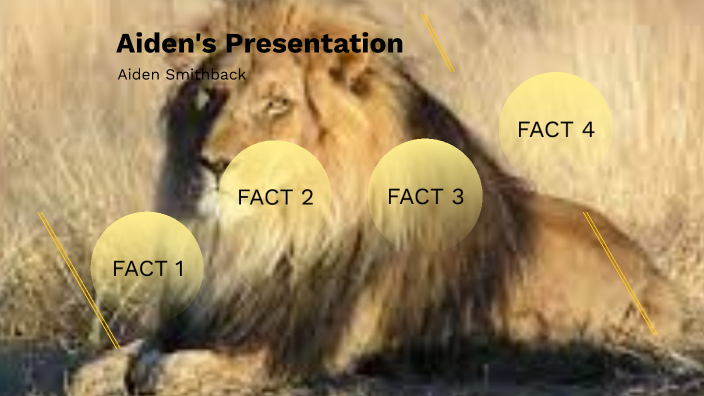 Aiden's Presentation by Aiden Smithback on Prezi