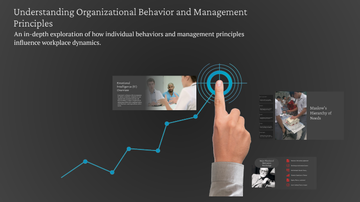 Understanding Organizational Behavior and Management Principles by ...