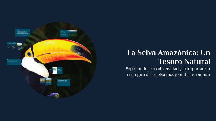 La Selva Amazónica: Un Tesoro Natural by iker aidan santiago barron on ...