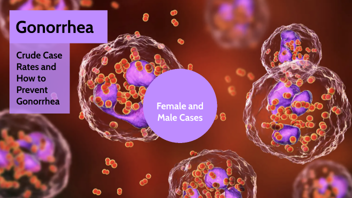 hesi rn case study gonorrhea