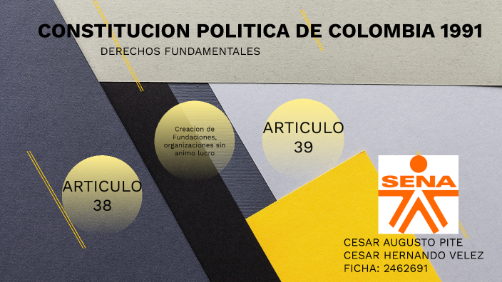 ARTICULO 38 DE LA CONSTITUCION POLITICA DE COLOMBIA By Sandra Milena ...