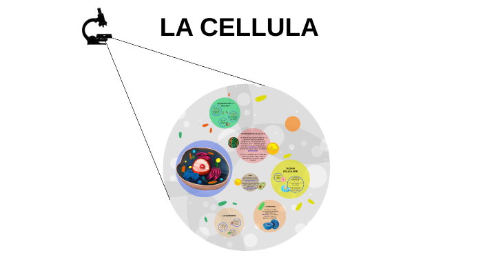 La Cellula by ANNA DI DONNA on Prezi