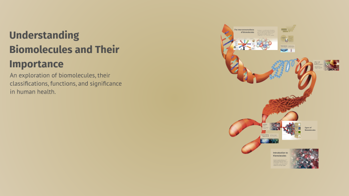 Understanding Biomolecules and Their Importance by Sujith Kalarikkal on ...