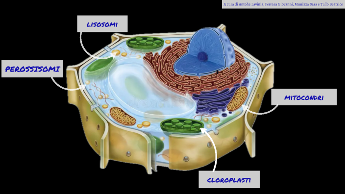 TEST SCIENZE by Sara Munizza on Prezi