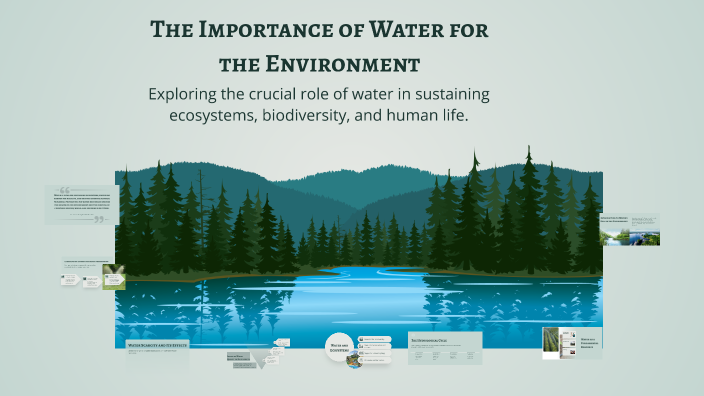 The Importance of Water for the Environment by Ан Л8и on Prezi