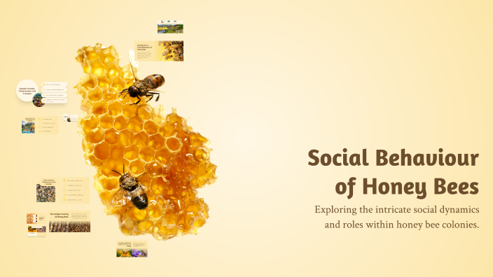 Social Behaviour of Honey Bees by Subhoshree Bhattacharjee on Prezi