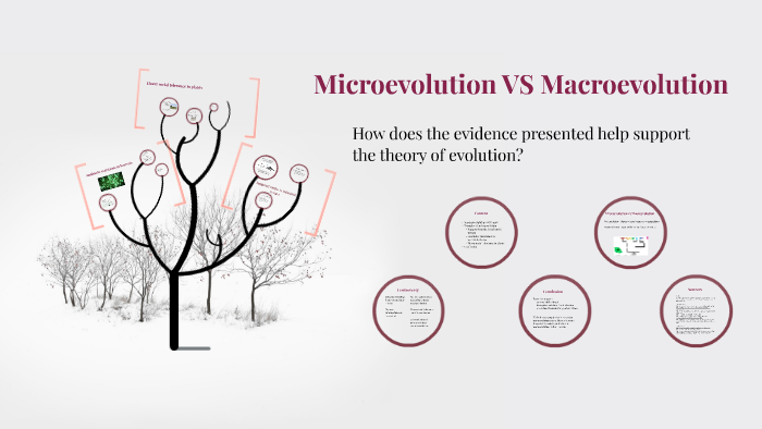 What is microevolution?