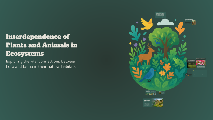 Interdependency Animal Interdependence of Plants and Animals in Ecosystems by Jakayla lorick ...