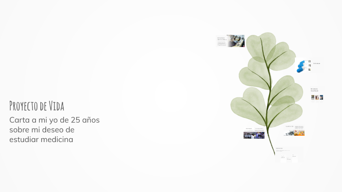Proyecto de Vida by Valentina Castillo on Prezi