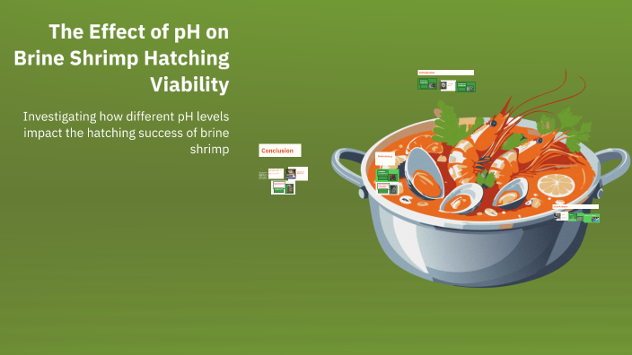 The Effect of pH on Brine Shrimp Hatching Viability by Kaos on Prezi