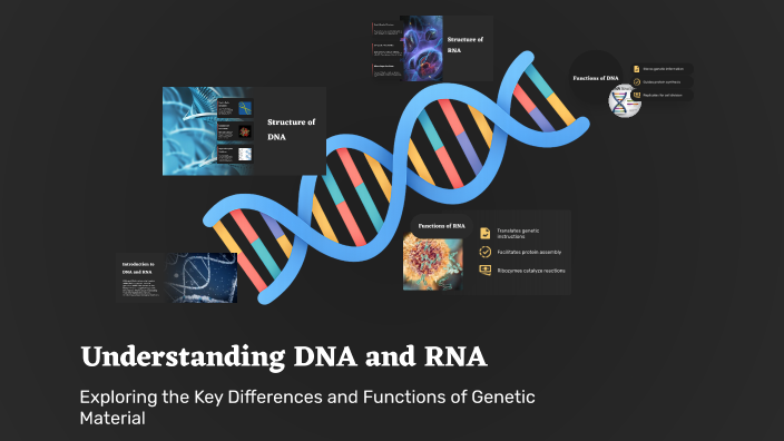 Understanding DNA and RNA by فارس فارس on Prezi