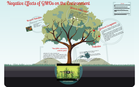 Negative aspects of gmos