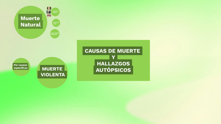CAUSAS DE MUERTE Y HALLAZGOS AUTÓPSICOS by Daniela Franco on Prezi