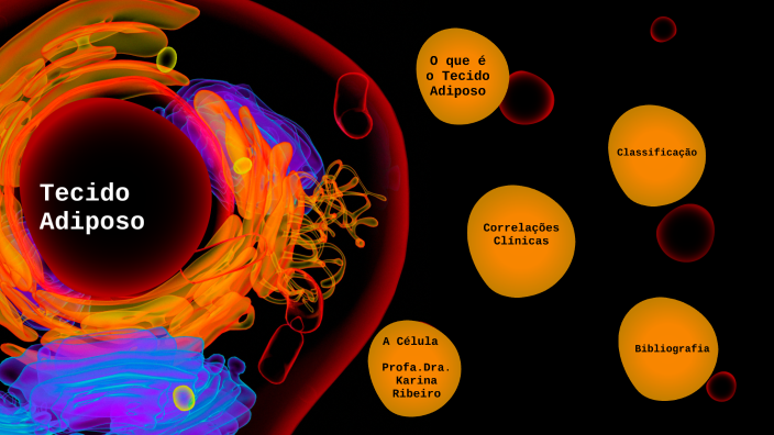 Tecido Adiposo By Prezi Profissional