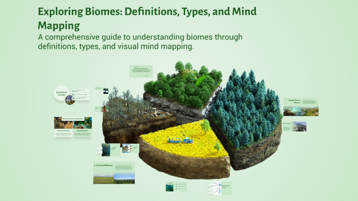 Mind Map Maps Example Biomes Exploring Biomes: Definitions, Types, and Mind Mapping by Ishaani ...