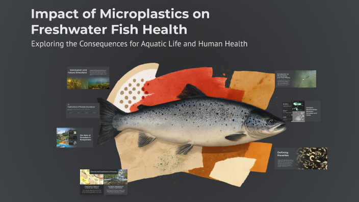 Impact of Microplastics on Freshwater Fish Health by CASSIA DE CASTRO ...