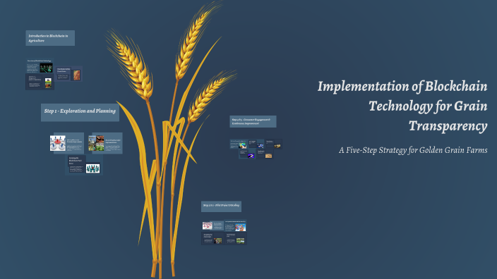 Implementation of Blockchain Technology for Grain Transparency by ...