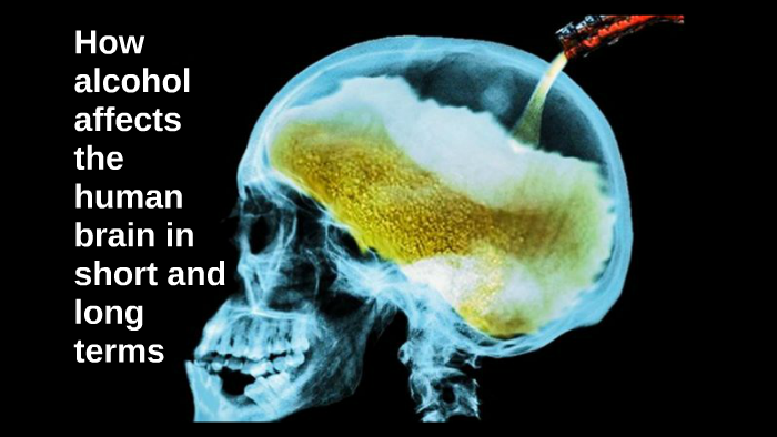 How alcohol affects the human brain in short and long terms by mia ...