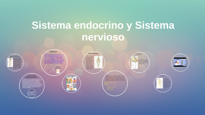 Sistema endocrino y Sistema nervioso by Natalia De Jesus on Prezi