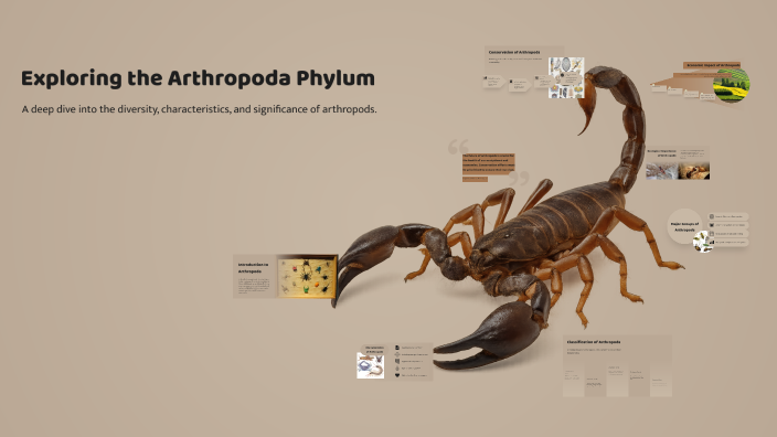 Exploring the Arthropoda Phylum by Maungo Motswetla on Prezi