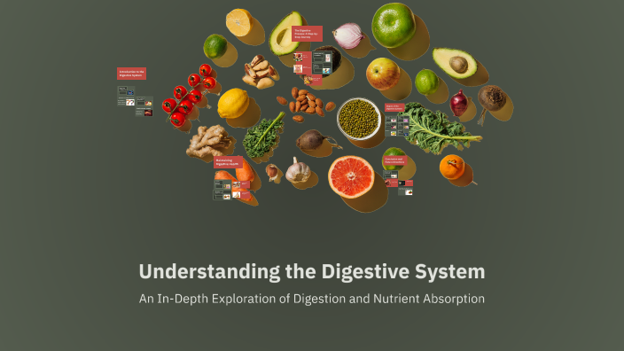 Understanding the Digestive System by MARIA CLAIRE ELIZALDE on Prezi