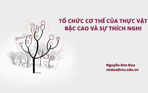 TỔ CHỨC CƠ THỂ CỦA THỰC VẬT BẬC CAO VÀ SỰ THÍCH NG by Dua Nguyen