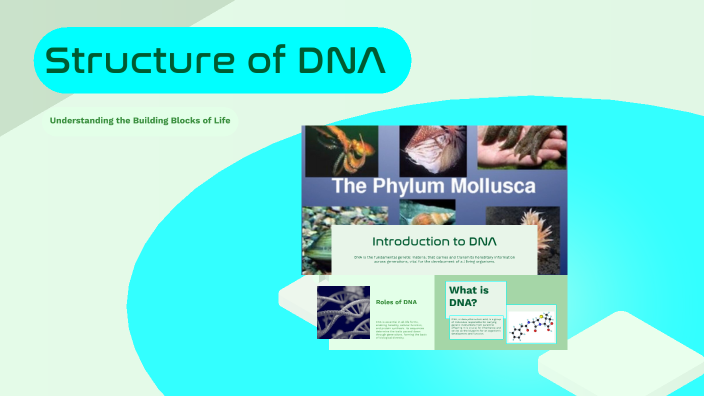 Structure of DNA by Saswati Kar on Prezi