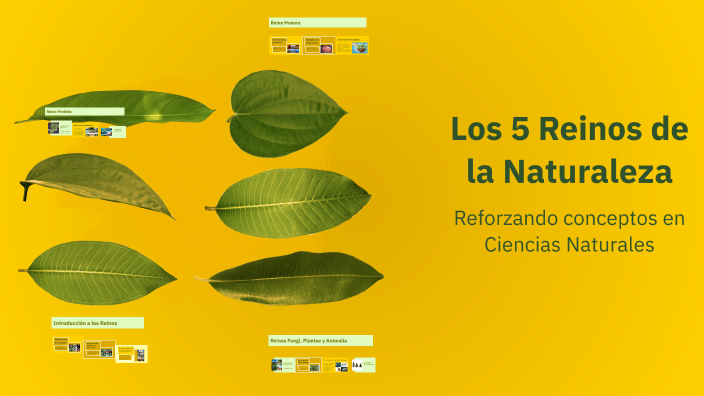 Los 5 Reinos de la Naturaleza by ELIZABETH PAREDES on Prezi