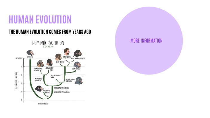 HUMAN EVOLUTION by valery varela on Prezi
