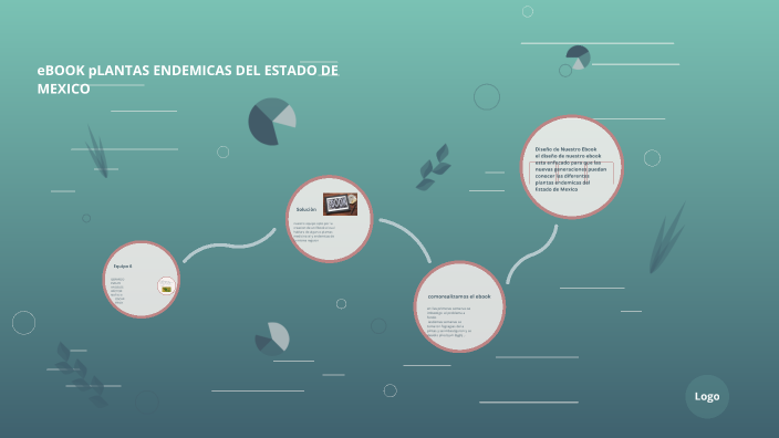 Ebook by Erick Ramírez on Prezi