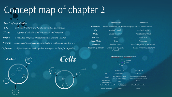 Concept map of chapter 2 - Cell by Hui Hin Sing on Prezi