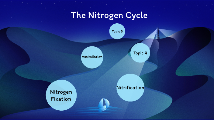 Nitrogen Cycle by Charlie McEwen on Prezi
