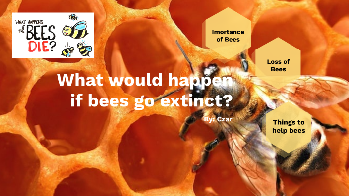 bee extinction experiment