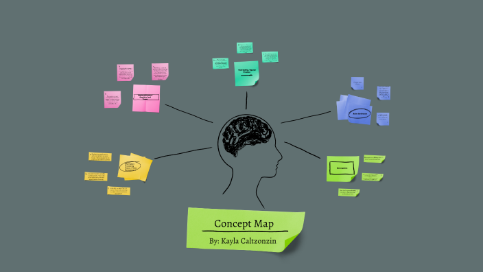 Concept Map by Kayla Caltzonzin on Prezi