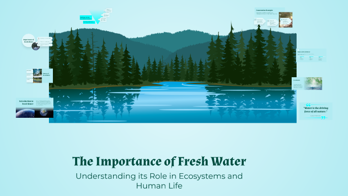 The Importance of Fresh Water by Salimova Sevinch on Prezi