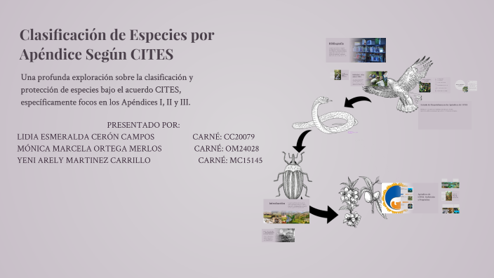 Clasificación de Especies por Apéndice Según CITES by Lidia Esmeralda ...