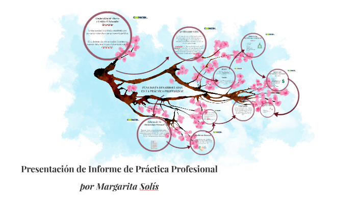 Presentación de Informe de Práctica Profesional by Lizy Soto on Prezi