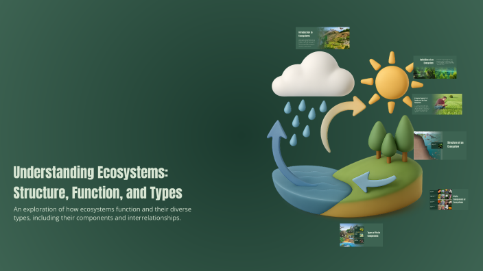 Understanding Ecosystems: Structure, Function, and Types by Maia Haggag ...