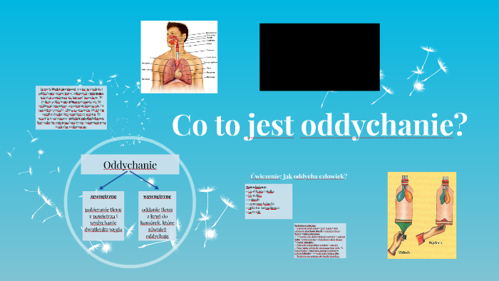 Co To Jest Oddychanie Komórkowe Co to jest oddychanie? by Magdalena Kirkowska on Prezi