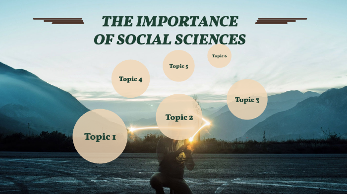 what is the importance of social science essay