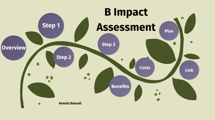 B Impact Assessment Overview By Kendal Bonsall On Prezi