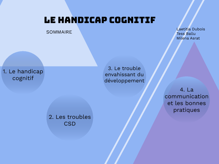 Handicap Cognitif By Tess Ballu On Prezi