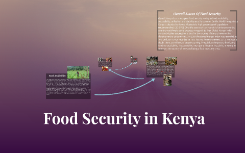 research proposal on food security in kenya