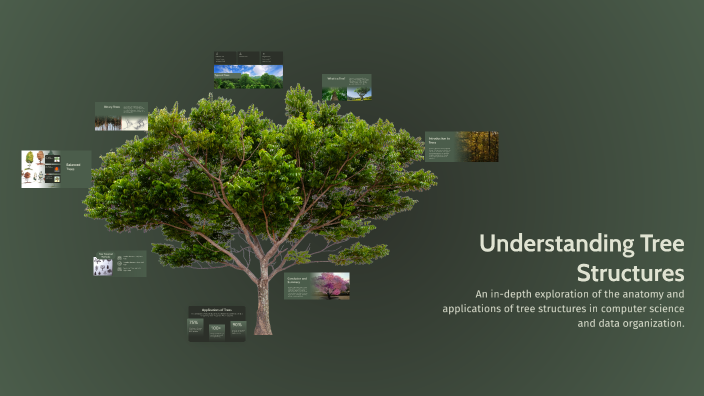 Understanding Tree Structures by Natasha Atkins on Prezi
