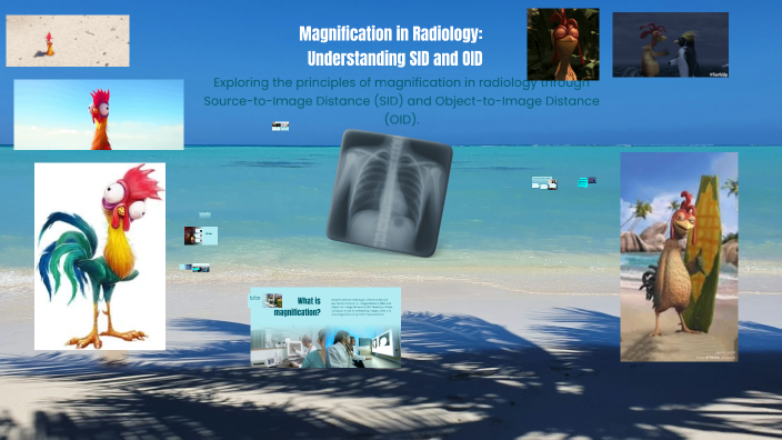 Magnification in Radiology: Understanding SID and OID by Madalyn Dabney ...